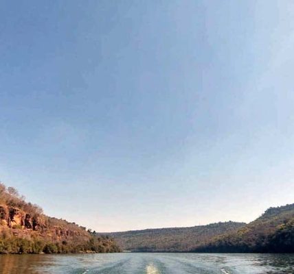 Chambal River