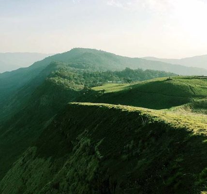 Nagaland