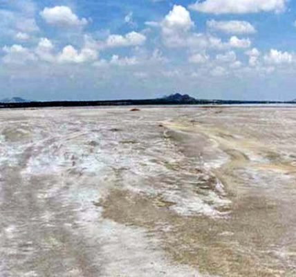 Sambhar Lake