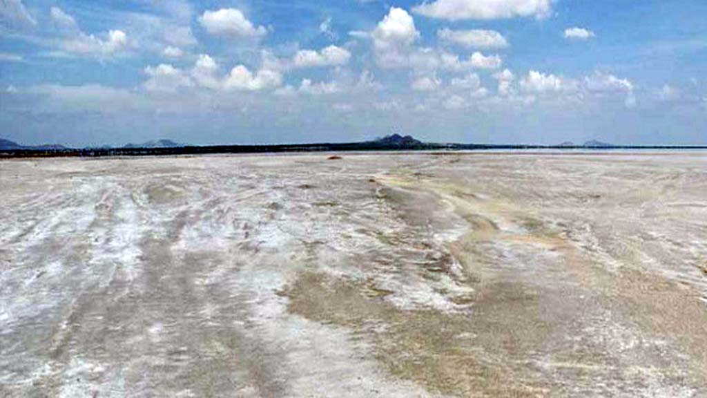 Sambhar Lake