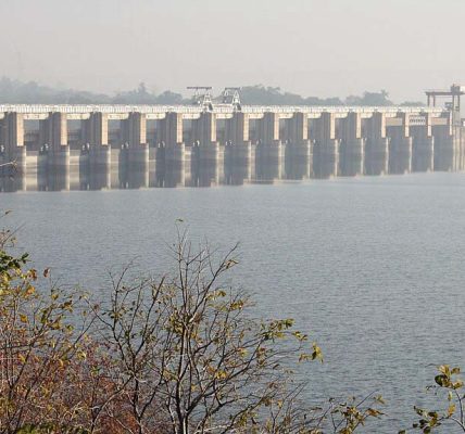 Rana Pratap Sagar Dam