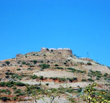 chauhan dynasty