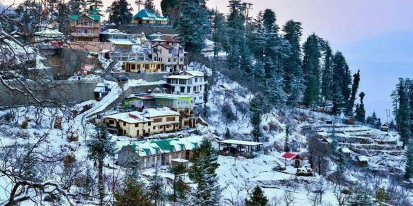 Shimla