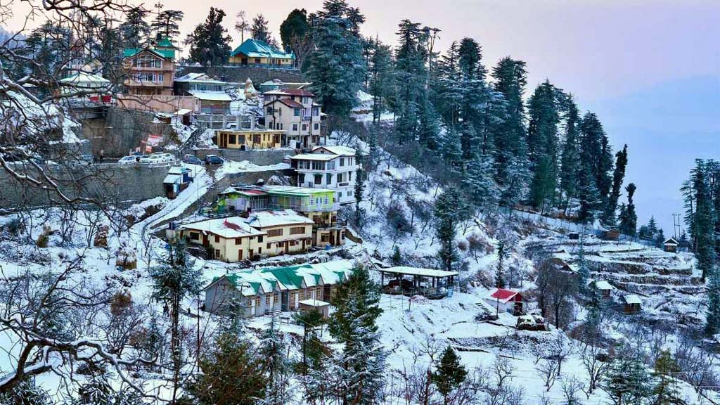 Shimla