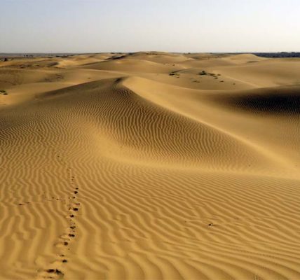 thar desert