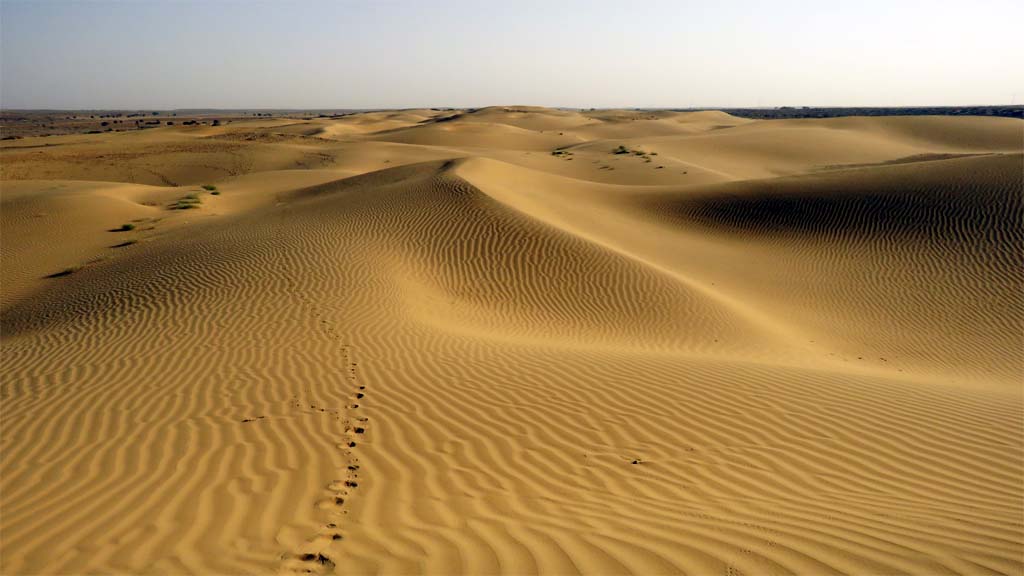 thar desert